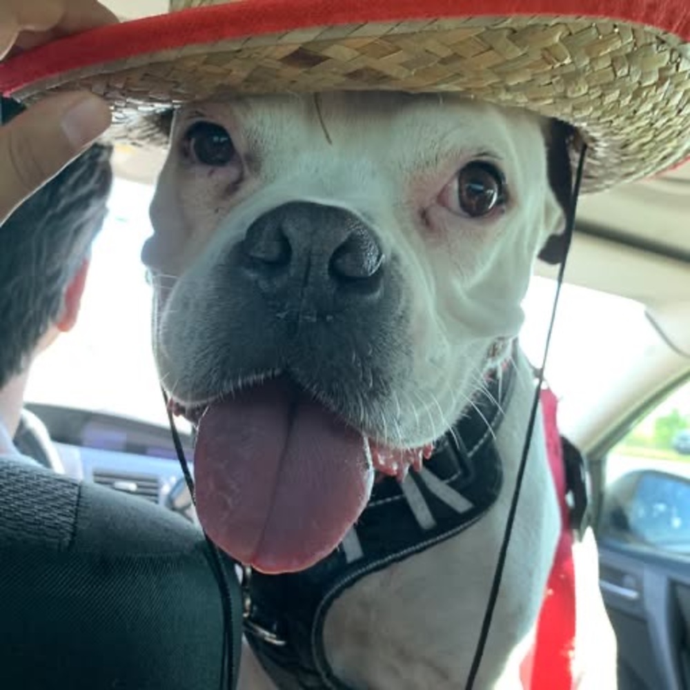 Meet your Posher, Lorena